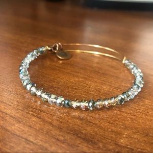 SWAROVSKI Alex and ani iridescent bracelet